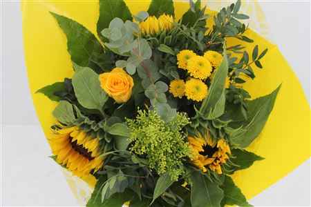 Срезанные цветы оптом Bouquet от 5шт.. из Голландии с доставкой по России