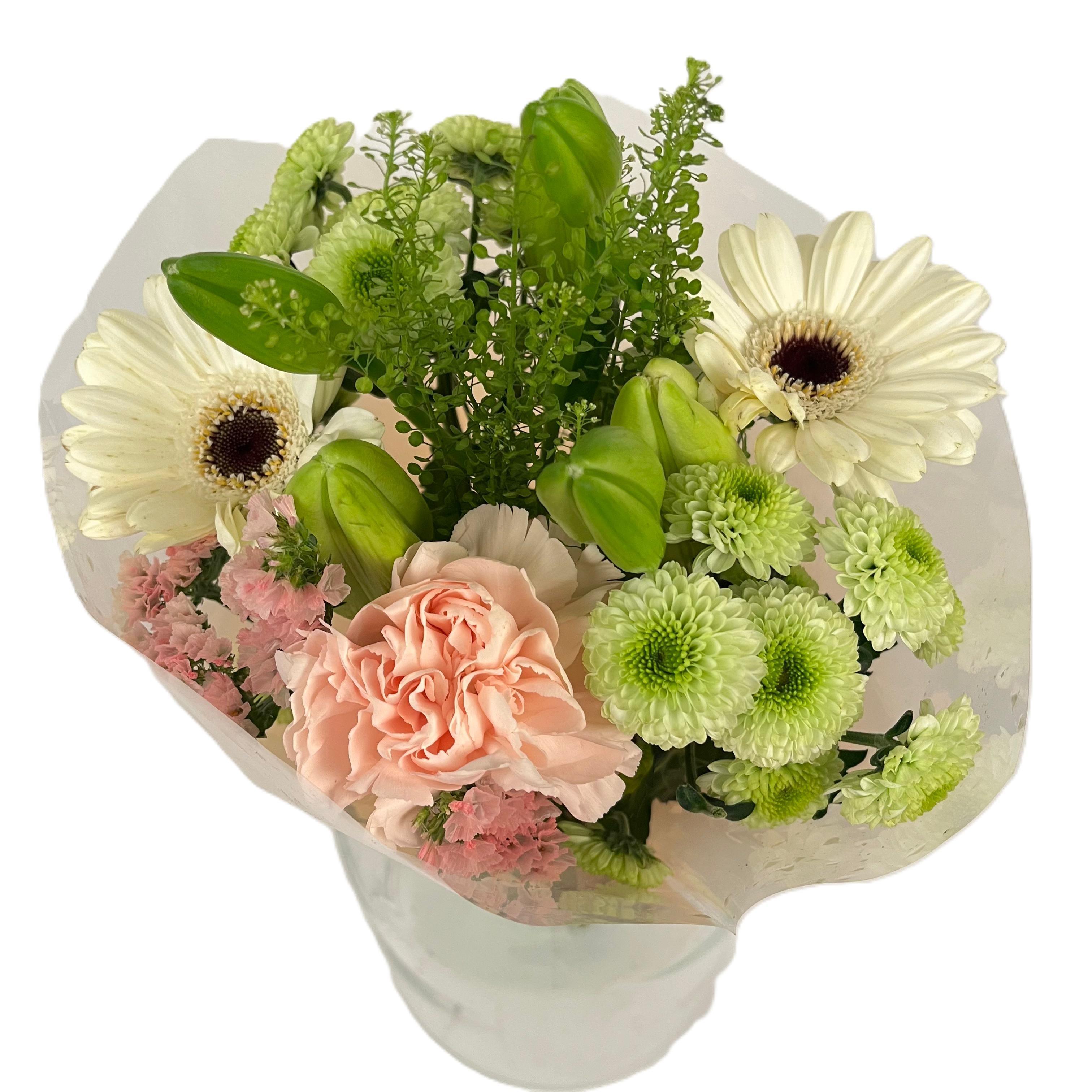 Срезанные цветы оптом Bq Volume Voltage Salmon S от 6шт из Голландии с доставкой по России