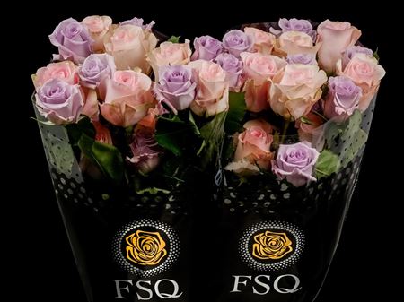 Срезанные цветы оптом Rosa ec mix lavander от 40шт из Голландии с доставкой по России