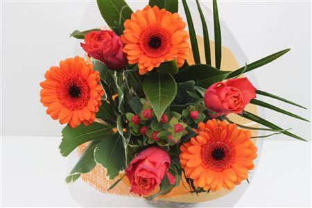 Срезанные цветы оптом Bouquet lisa orange от 10шт из Голландии с доставкой по России