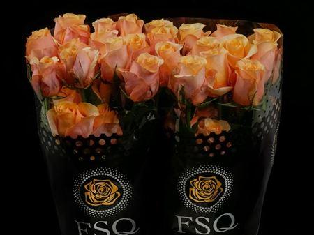 Срезанные цветы оптом Rosa ec peach love от 40шт из Голландии с доставкой по России