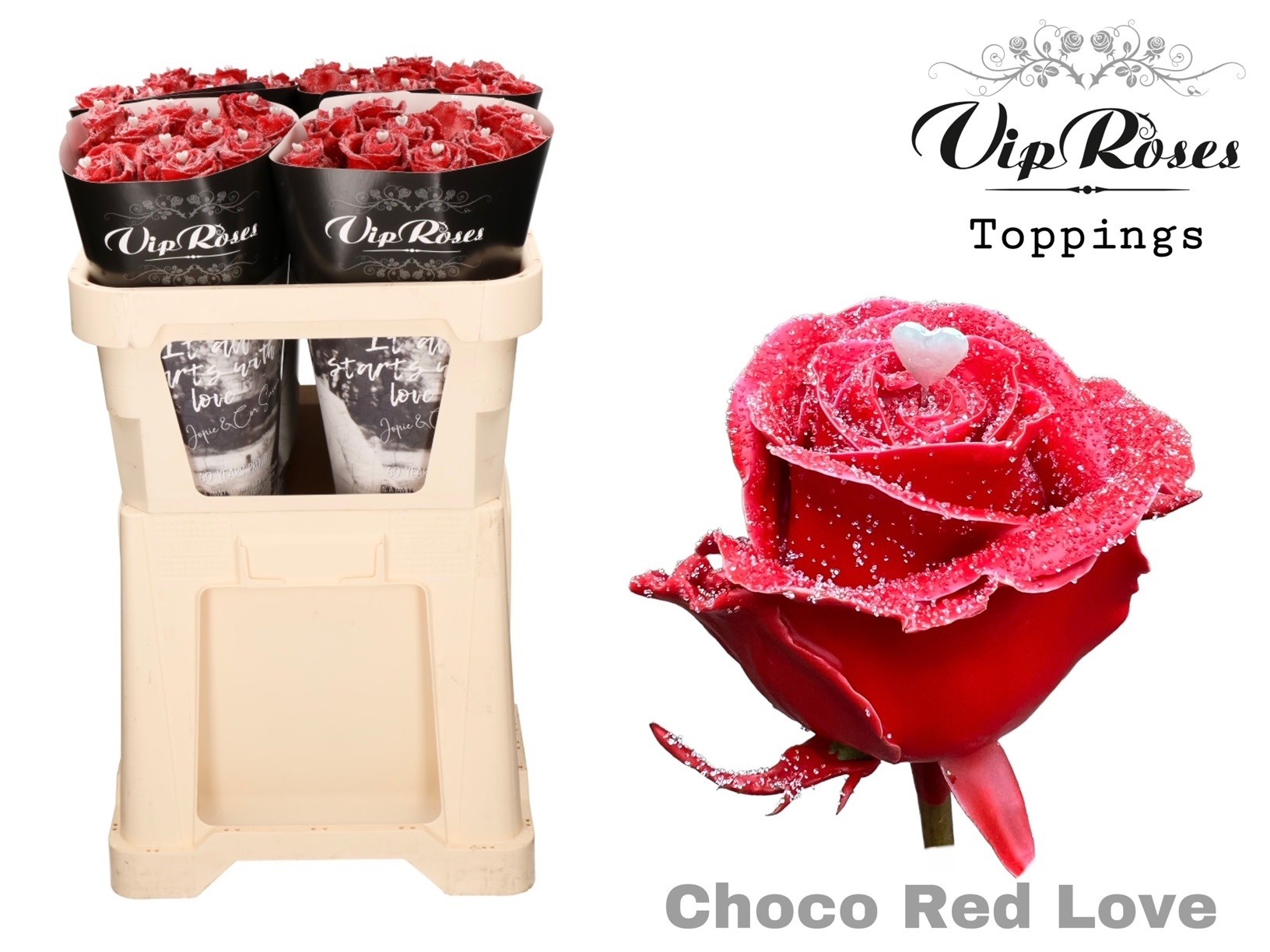 Срезанные цветы оптом Rosa la paint choco red love от 40шт из Голландии с доставкой по России