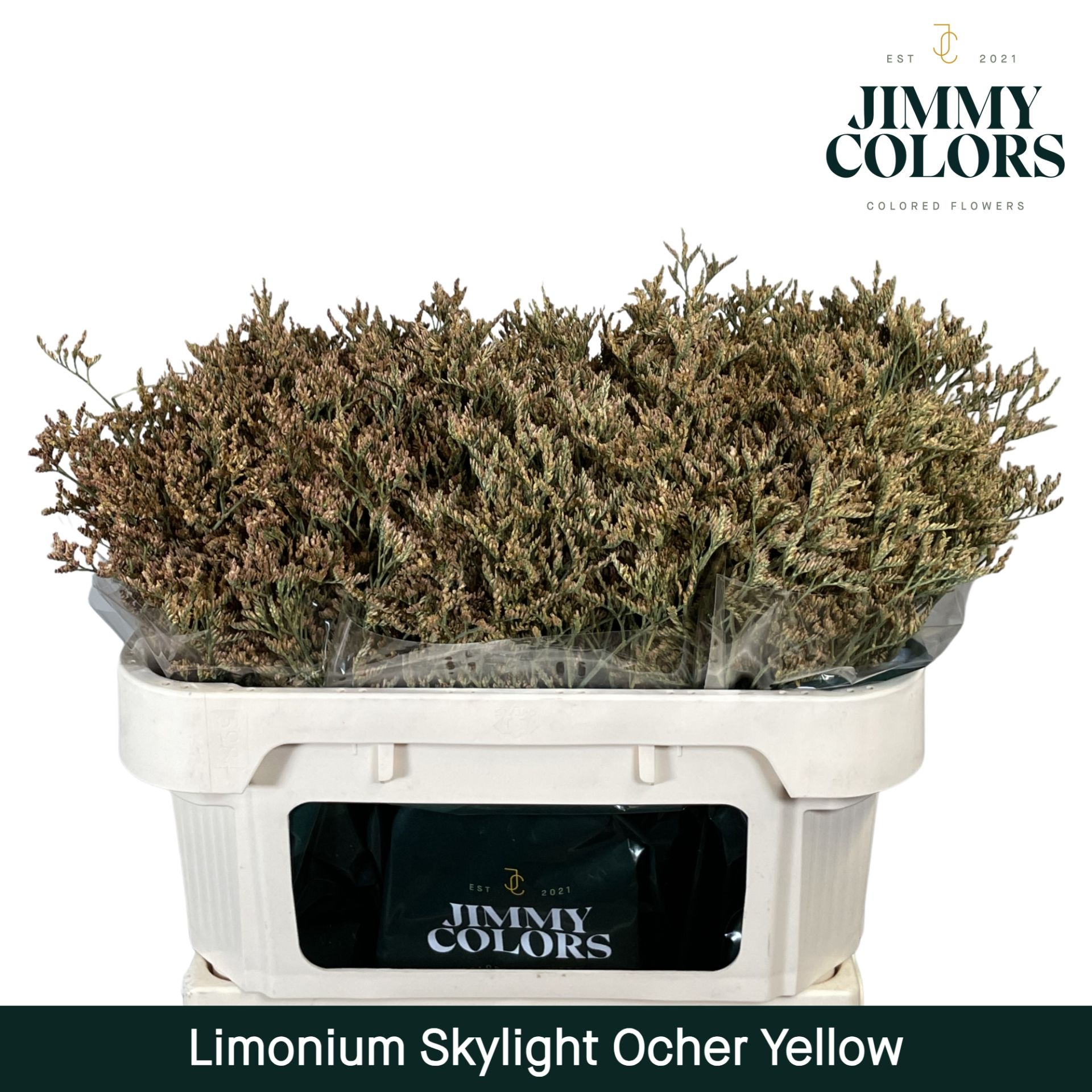 Срезанные цветы оптом Limonium paint yellow oker от 25шт из Голландии с доставкой по России