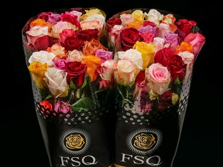 Срезанные цветы оптом Rosa ec mix season от 40шт из Голландии с доставкой по России