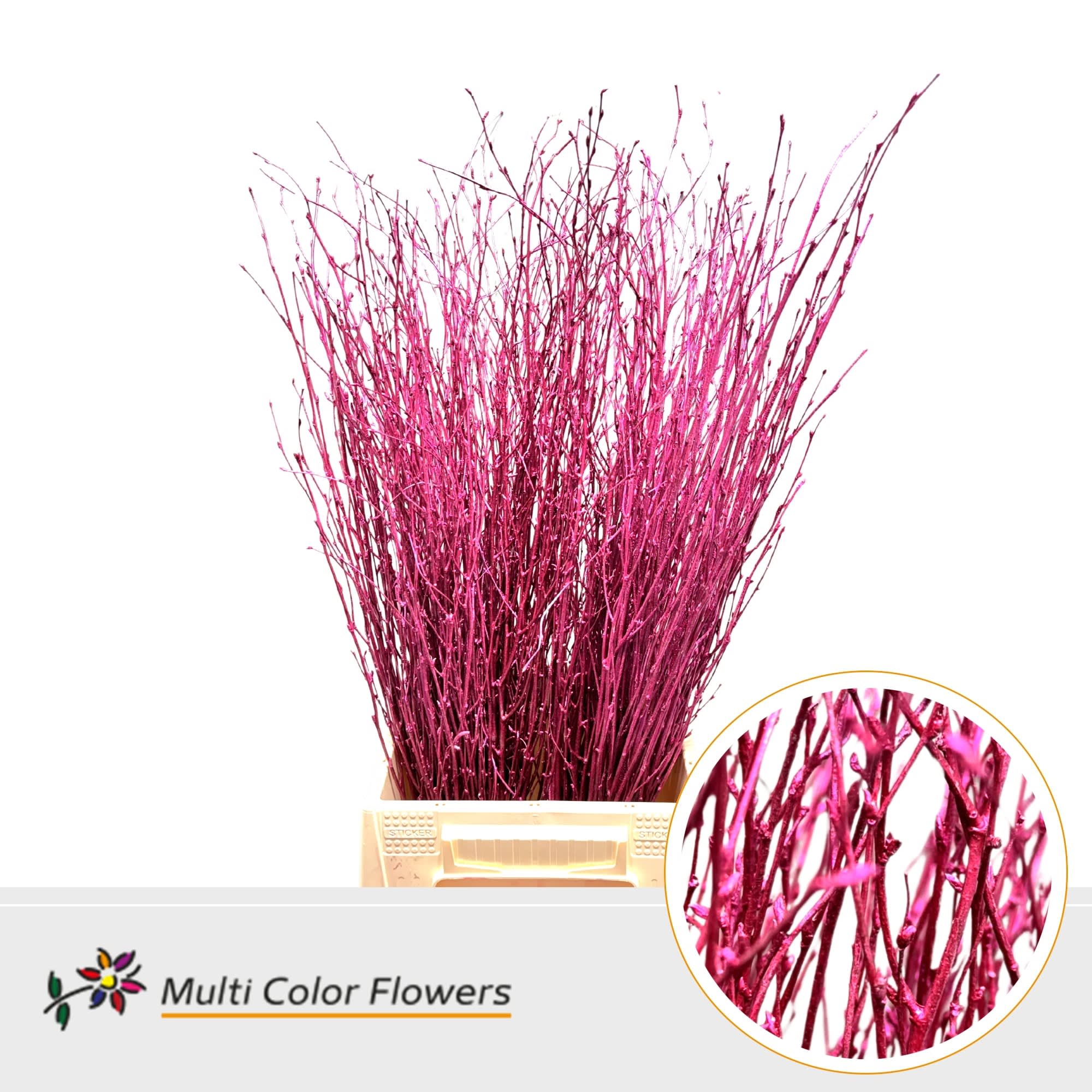 Срезанные цветы оптом Betula paint metallic cerise от 100шт из Голландии с доставкой по России