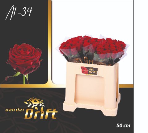Срезанные цветы оптом Rosa large red naomi! Drift от 50шт из Голландии с доставкой по России
