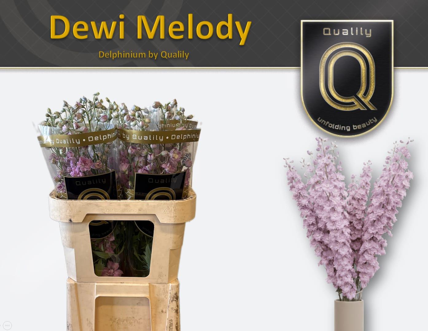 Срезанные цветы оптом Delphinium do el dewi melody от 40шт из Голландии с доставкой по России