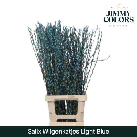 Срезанные цветы оптом Salix paint pussy willow blue light от 50шт из Голландии с доставкой по России