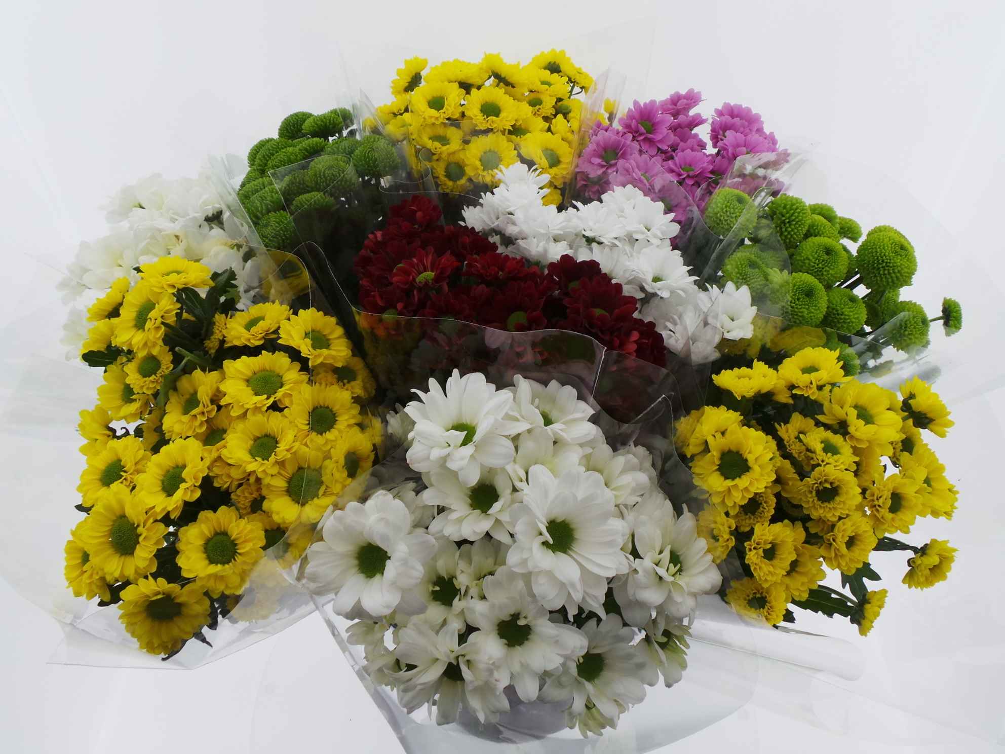 Срезанные цветы оптом Bouquet mono santini x5 mix 50cm от 10шт из Голландии с доставкой по России