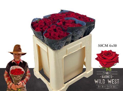 Срезанные цветы оптом Rosa large red naomi! Wild West от 60шт из Голландии с доставкой по России