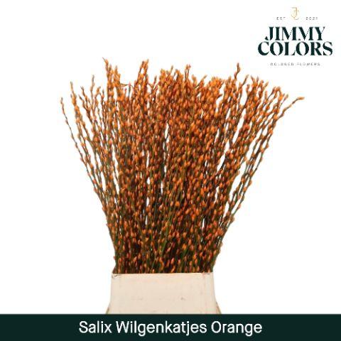 Срезанные цветы оптом Salix paint pussy willow orange от 100шт из Голландии с доставкой по России
