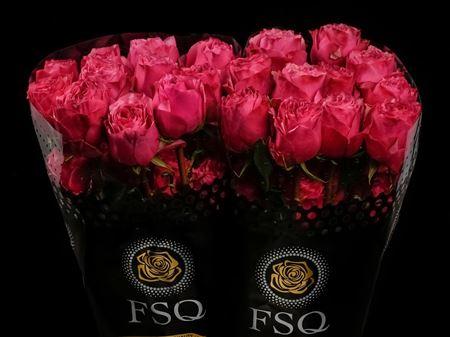 Срезанные цветы оптом Rosa ec cherry carpe diem от 40шт из Голландии с доставкой по России