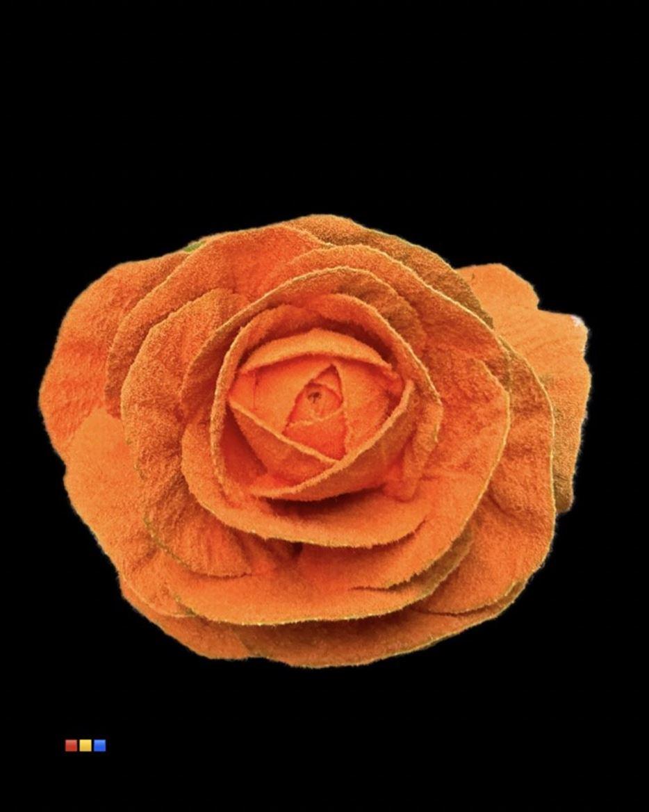 Срезанные цветы оптом Brassica powder orange от 20шт из Голландии с доставкой по России