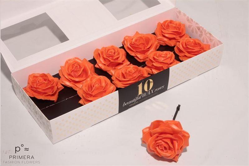 Срезанные цветы оптом Rosa large silk wax orange от 10шт из Голландии с доставкой по России
