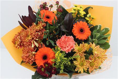 Срезанные цветы оптом Bouquet germini orange от 3шт из Голландии с доставкой по России