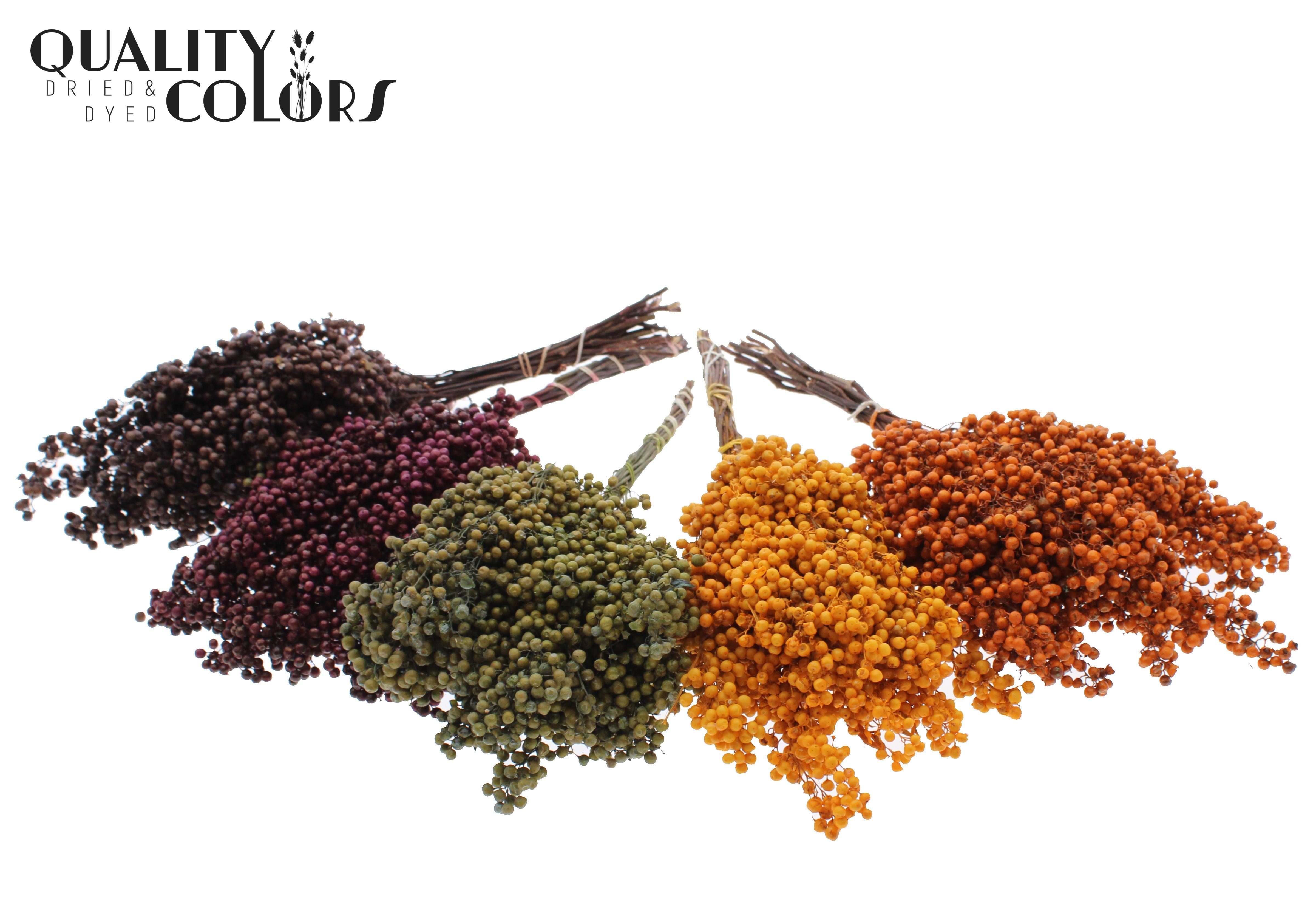 Срезанные цветы оптом Pepperberries per bunch in poly Pumpkin Mix от 5шт из Голландии с доставкой по России