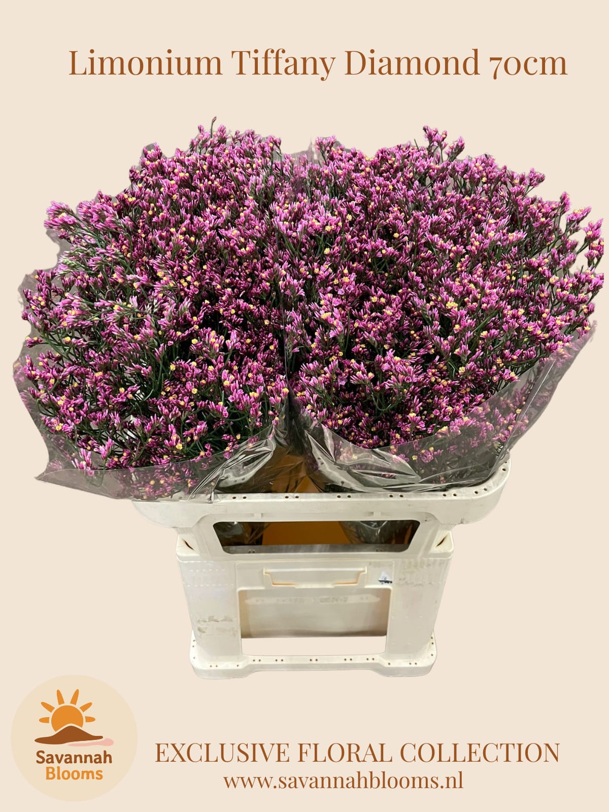 Срезанные цветы оптом Limonium tiffany diamond от 50шт из Голландии с доставкой по России