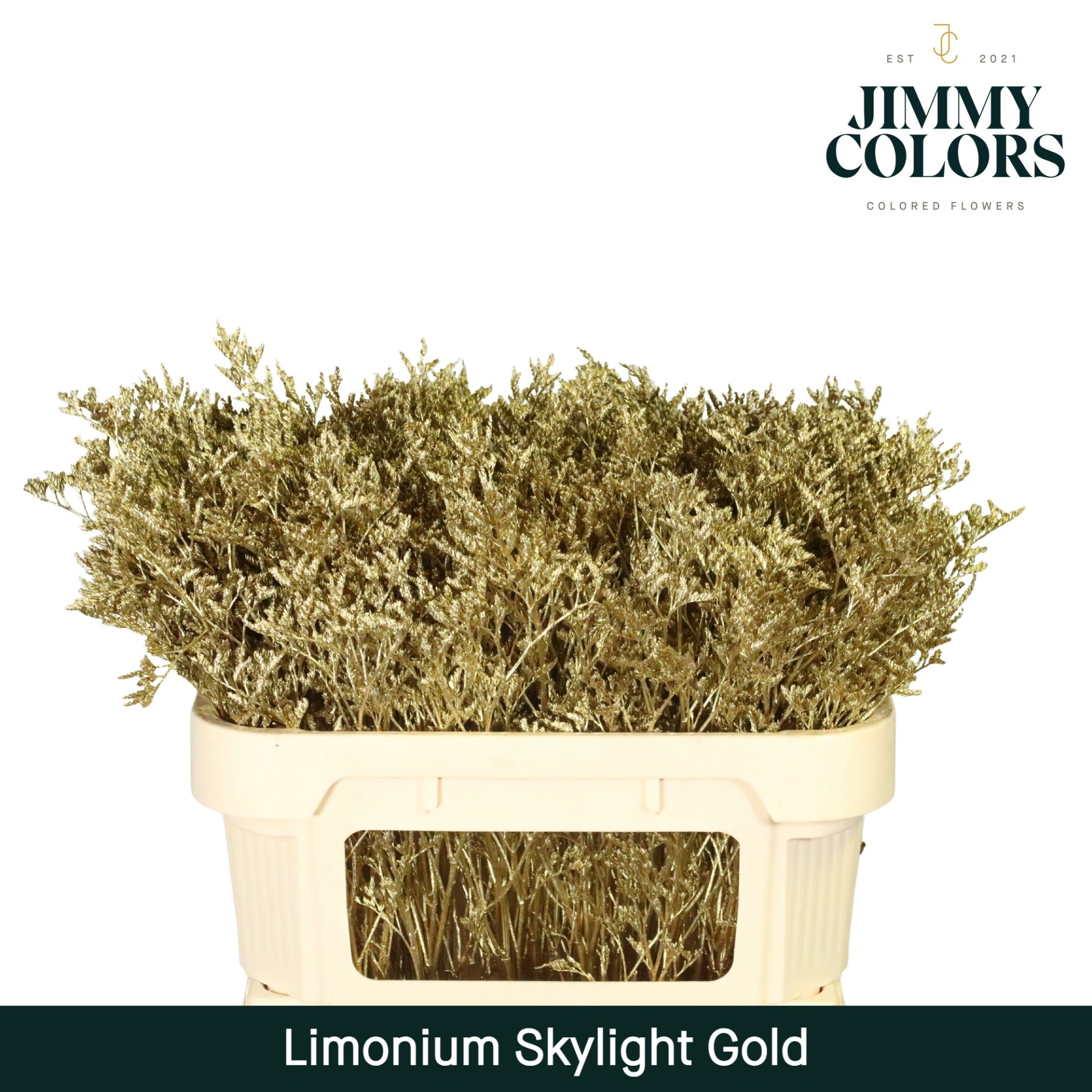 Срезанные цветы оптом Limonium paint gold от 50шт из Голландии с доставкой по России