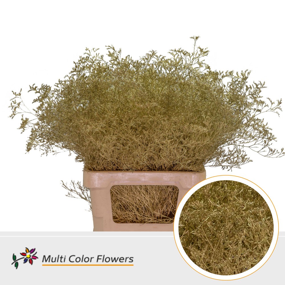 Срезанные цветы оптом Limonium beltlaard paint gold от 25шт из Голландии с доставкой по России