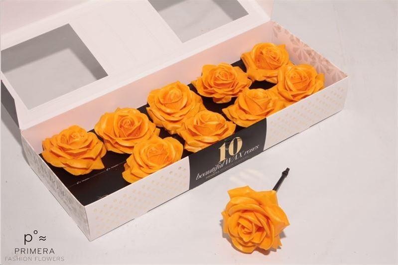 Срезанные цветы оптом Rosa large silk wax ochre от 10шт из Голландии с доставкой по России