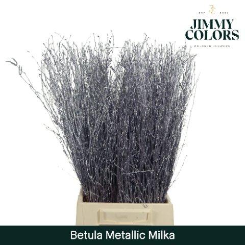 Срезанные цветы оптом Betula paint metallic milka от 20шт из Голландии с доставкой по России