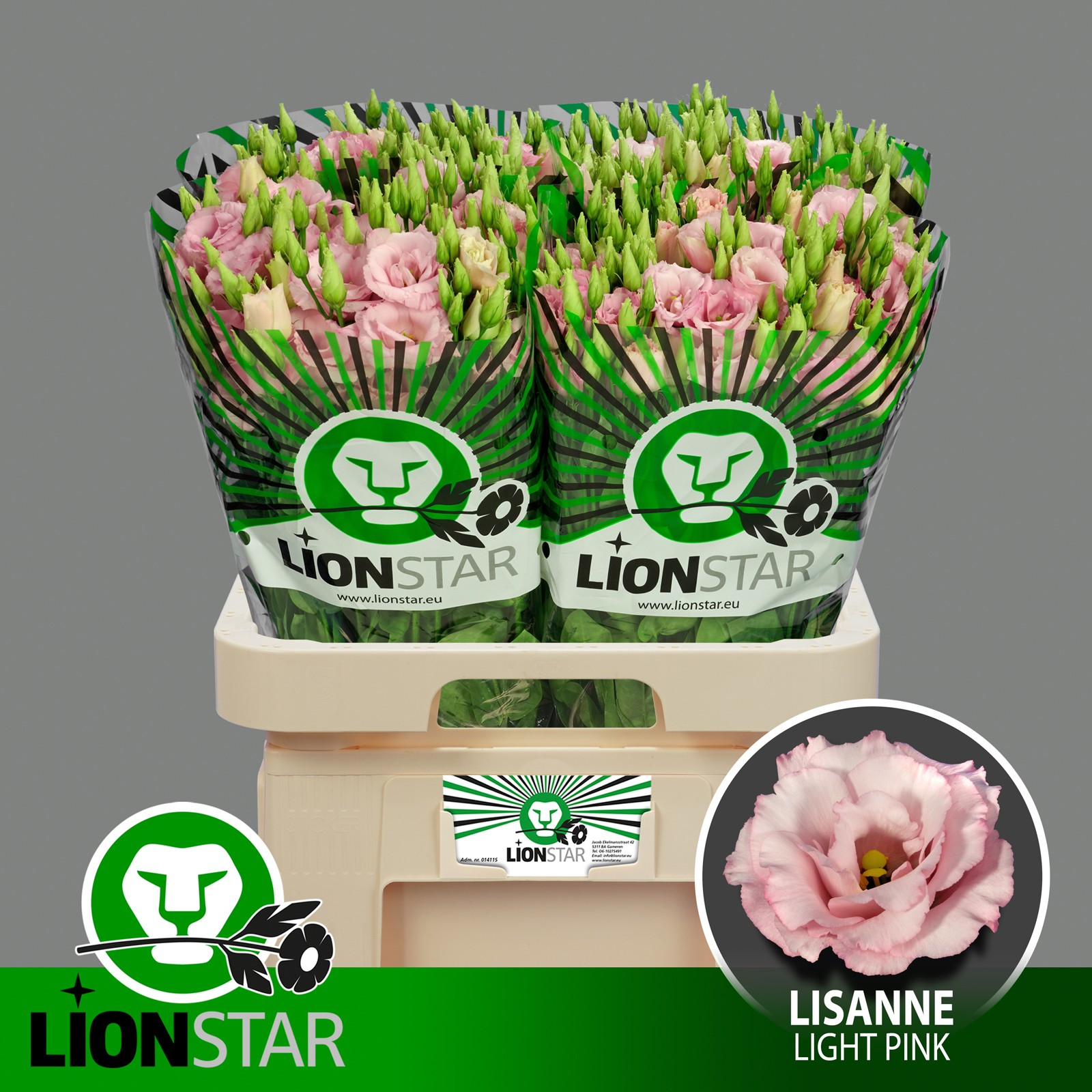 Срезанные цветы оптом Lisianthus do lisanne light pink от 40шт из Голландии с доставкой по России