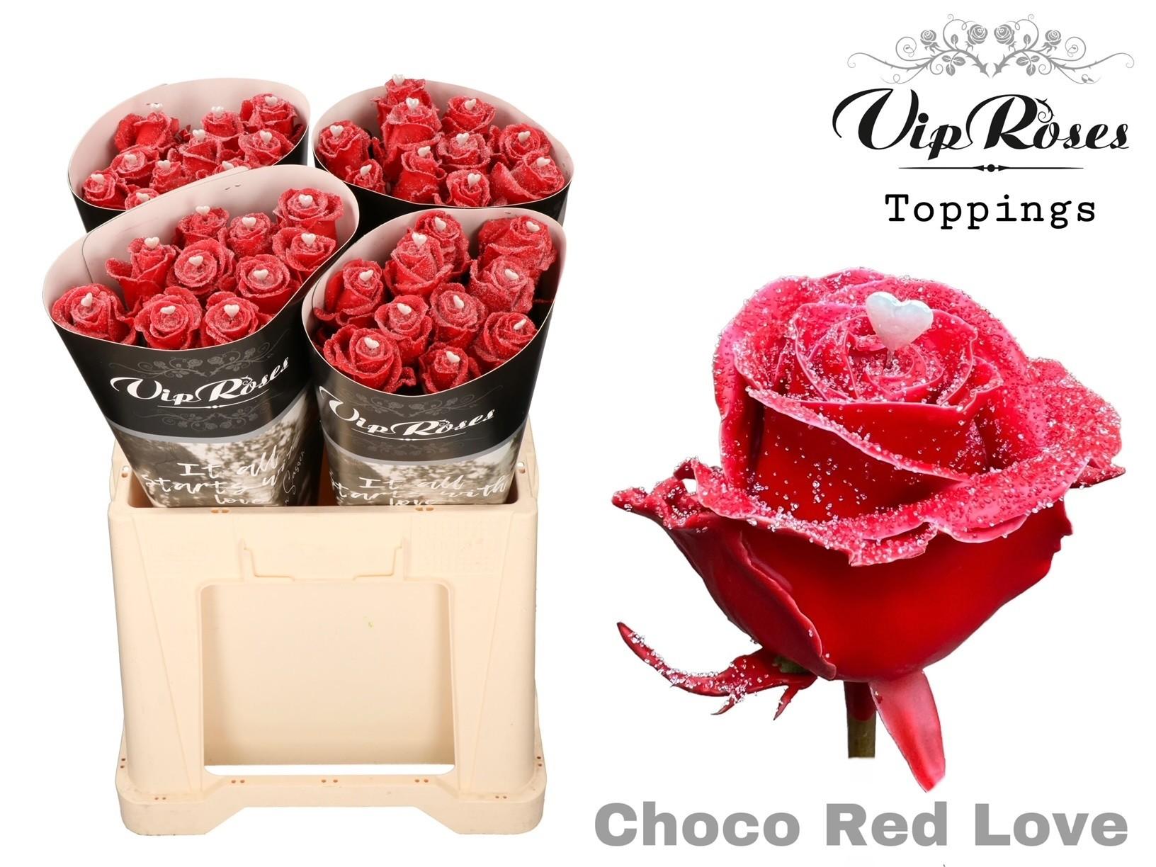 Срезанные цветы оптом Rosa large paint choco red love от 40шт из Голландии с доставкой по России