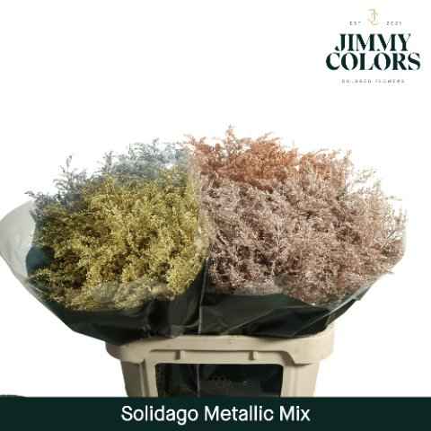 Срезанные цветы оптом Solidago paint mix metallic от 100шт из Голландии с доставкой по России