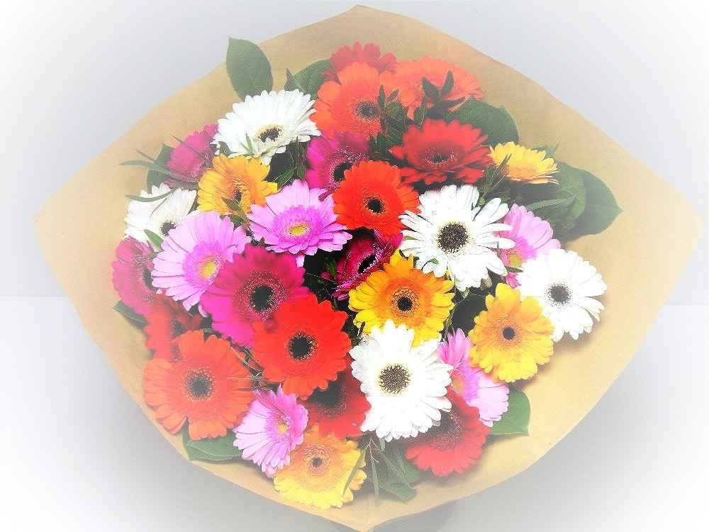Срезанные цветы оптом Bouquet germini mixed от 1шт из Голландии с доставкой по России