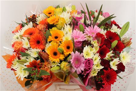 Срезанные цветы оптом Bouquet splash mix от 8шт из Голландии с доставкой по России