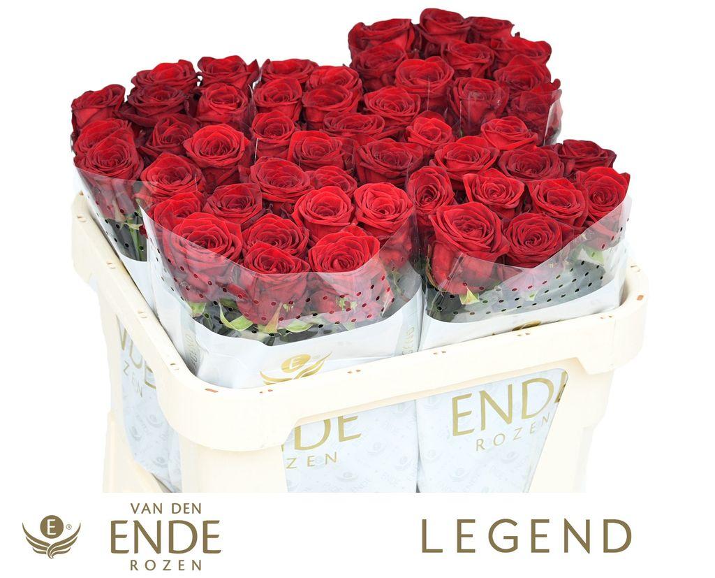 Срезанные цветы оптом Rosa large red naomi! от 50шт из Голландии с доставкой по России