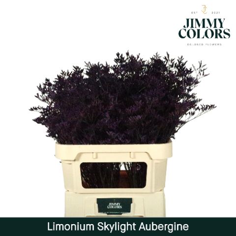 Срезанные цветы оптом Limonium paint aubergine от 75шт из Голландии с доставкой по России