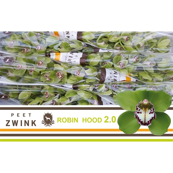 Срезанные цветы оптом Cymbidium green robin hood 2 от 6шт из Голландии с доставкой по России