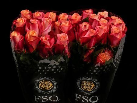 Срезанные цветы оптом Rosa ec helene от 40шт из Голландии с доставкой по России