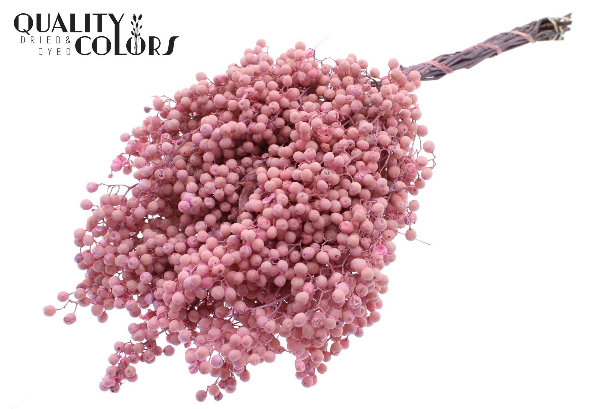 Срезанные цветы оптом Pepperberries per bunch in poly Pink от 5шт из Голландии с доставкой по России