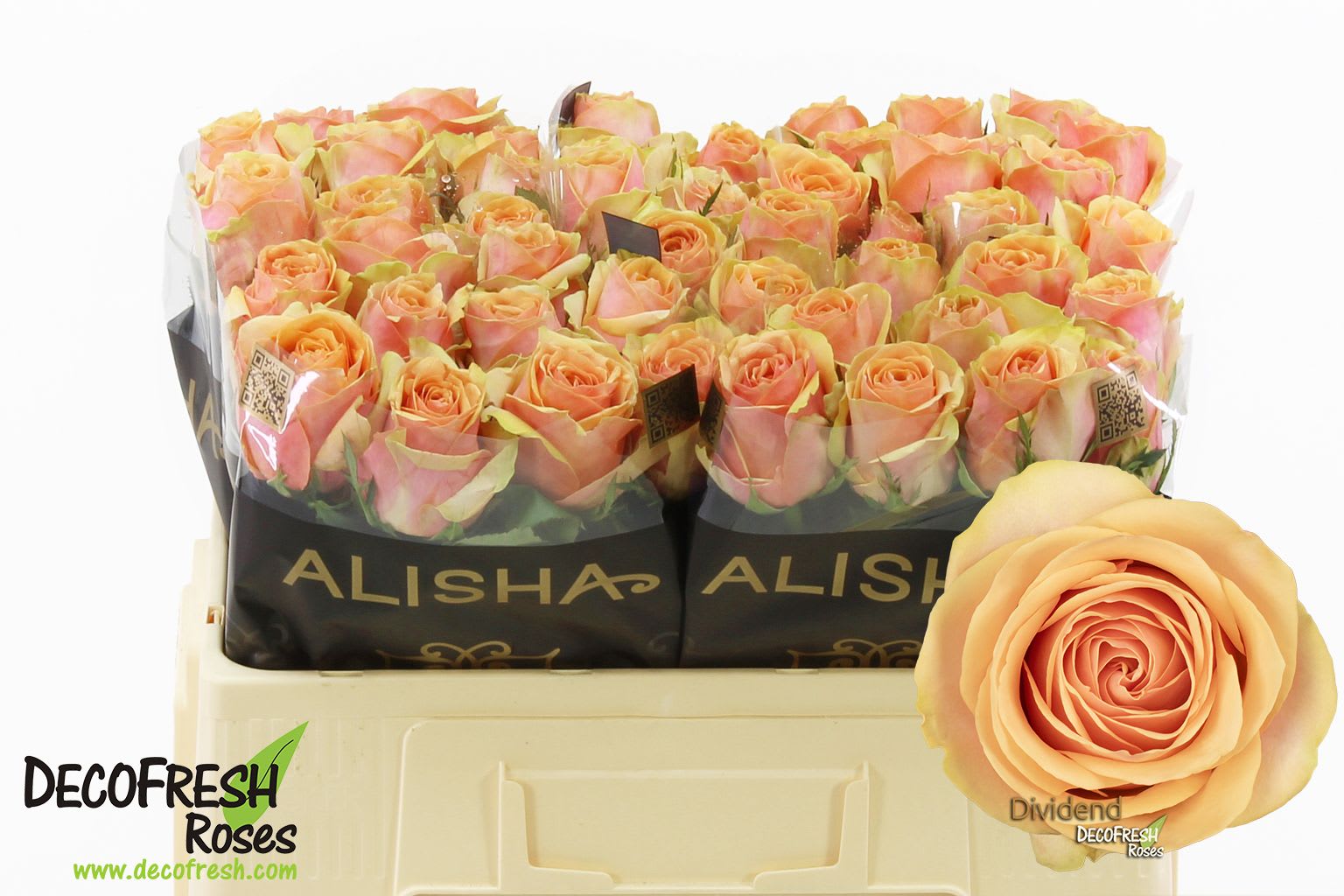 Срезанные цветы оптом Rosa large dividend от 50шт из Голландии с доставкой по России