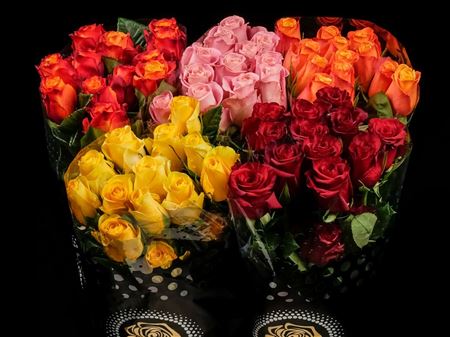 Срезанные цветы оптом Rosa ec mix in bucket от 100шт из Голландии с доставкой по России