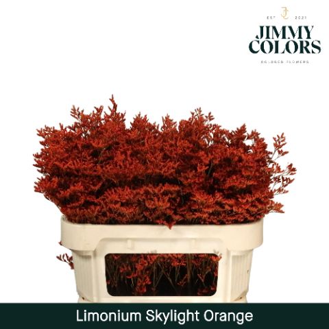 Срезанные цветы оптом Limonium paint orange от 50шт.. из Голландии с доставкой по России