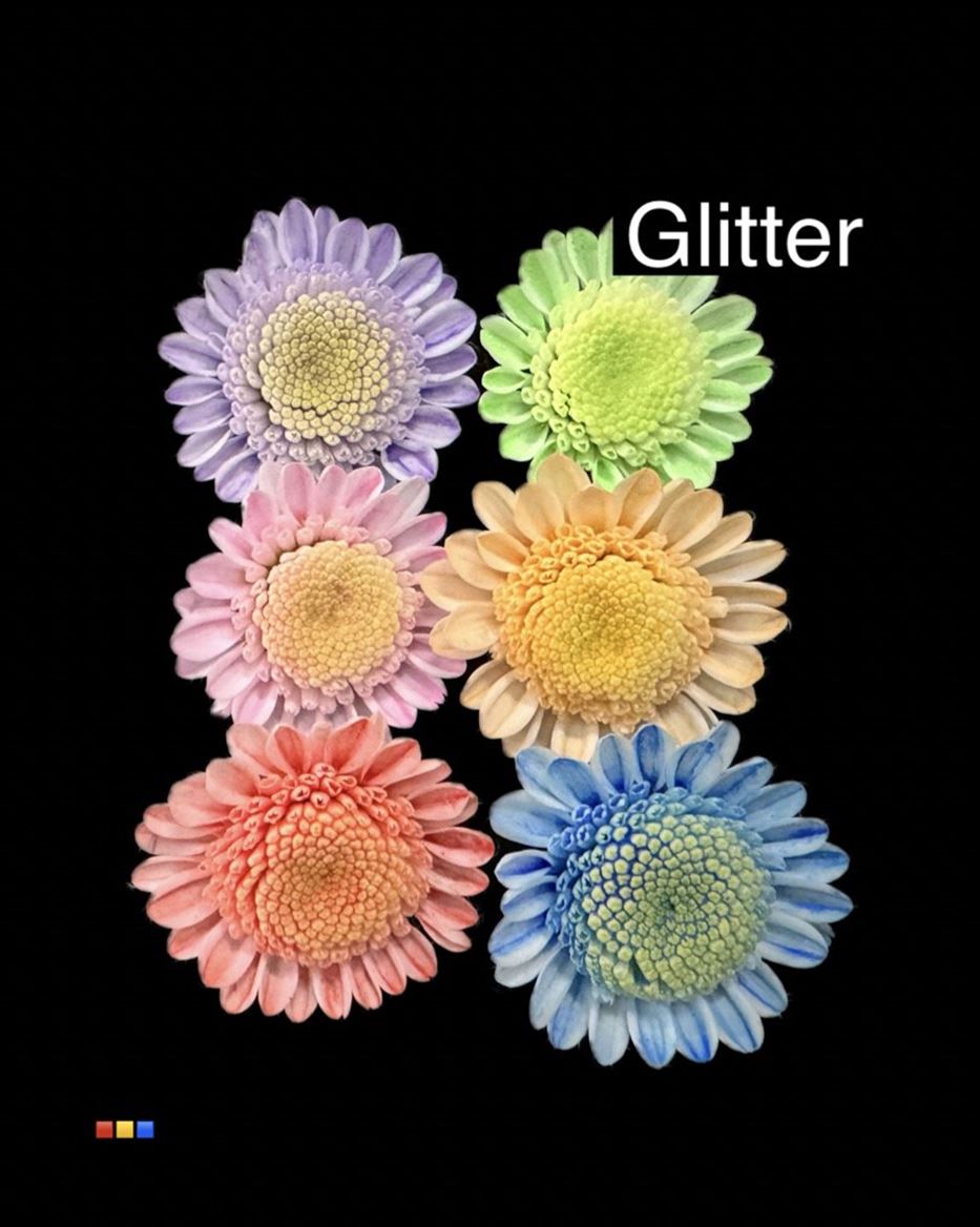 Срезанные цветы оптом Chrys sp paint stallion dusty mix 6 colours + glit от 60шт из Голландии с доставкой по России