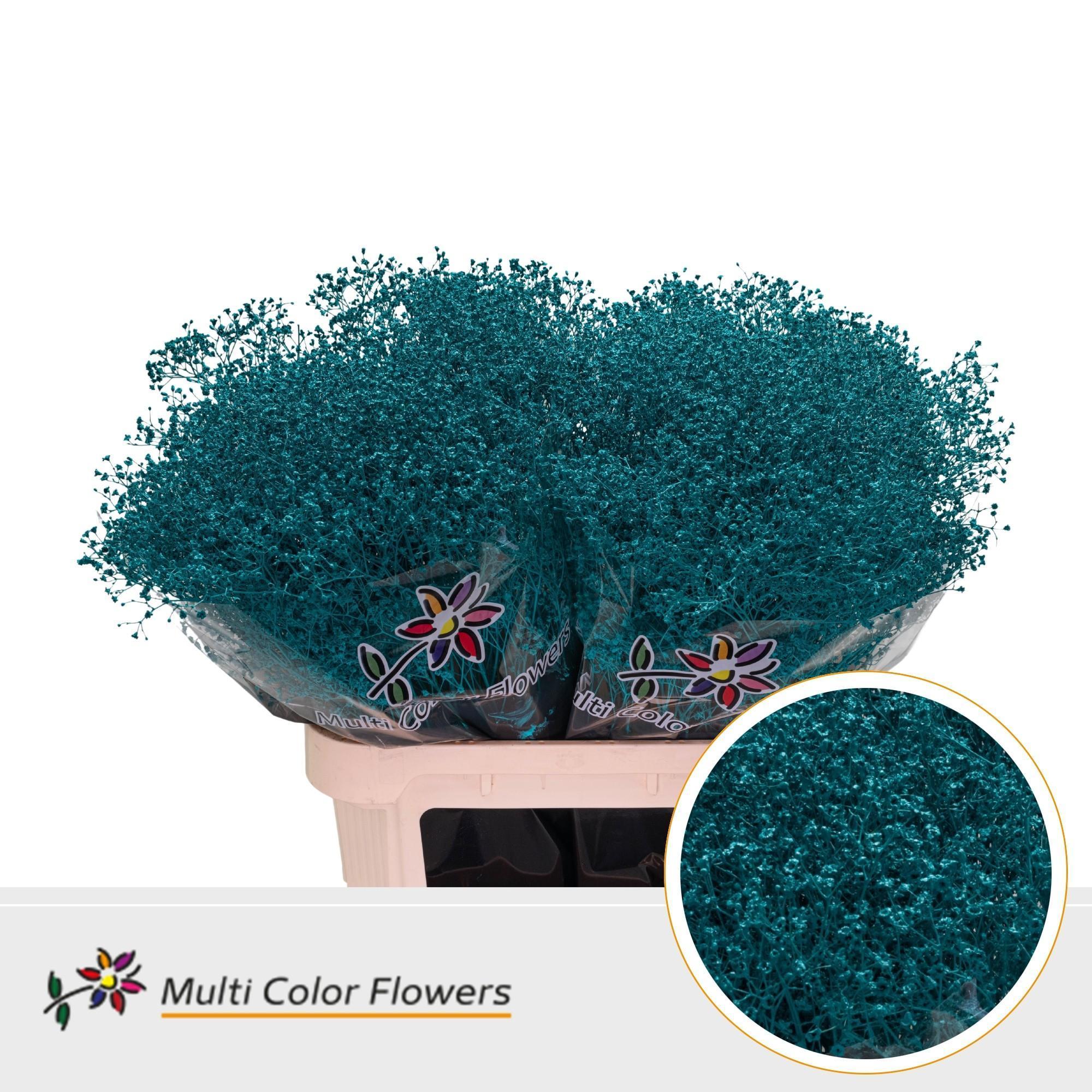 Срезанные цветы оптом Gyps fine paint turqoise от 50шт из Голландии с доставкой по России