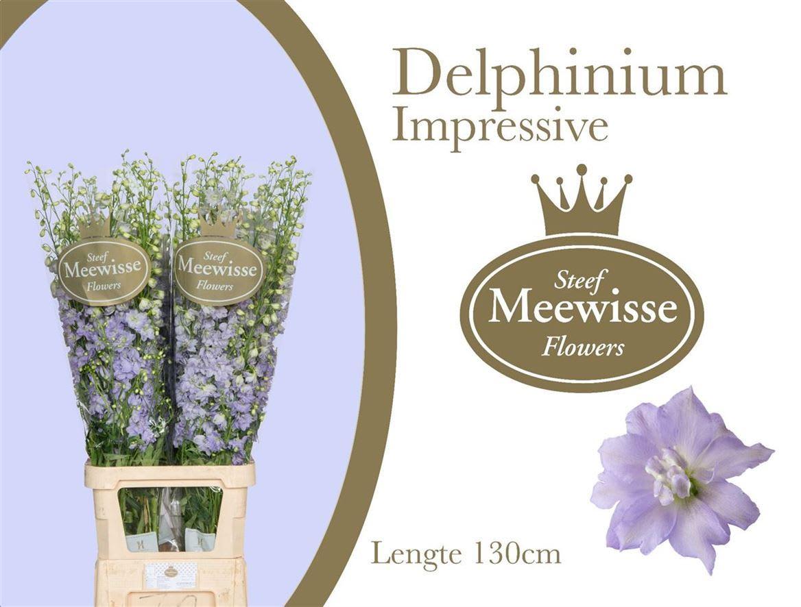 Срезанные цветы оптом Delphinium el du dewi impressive от 30шт из Голландии с доставкой по России
