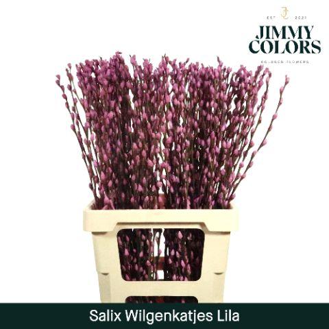 Срезанные цветы оптом Salix paint pussy willow lilac от 50шт из Голландии с доставкой по России