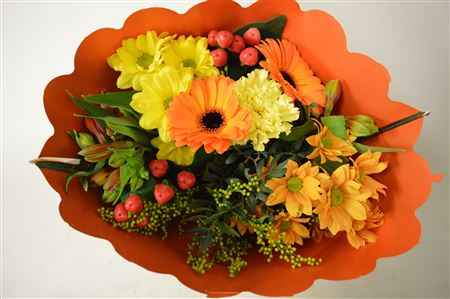 Срезанные цветы оптом Bouquet 11 stem orange от 7шт из Голландии с доставкой по России