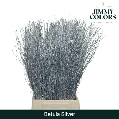 Срезанные цветы оптом Betula paint silver от 10шт из Голландии с доставкой по России
