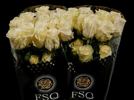 Срезанные цветы оптом Rosa ec first lady от 40шт из Голландии с доставкой по России
