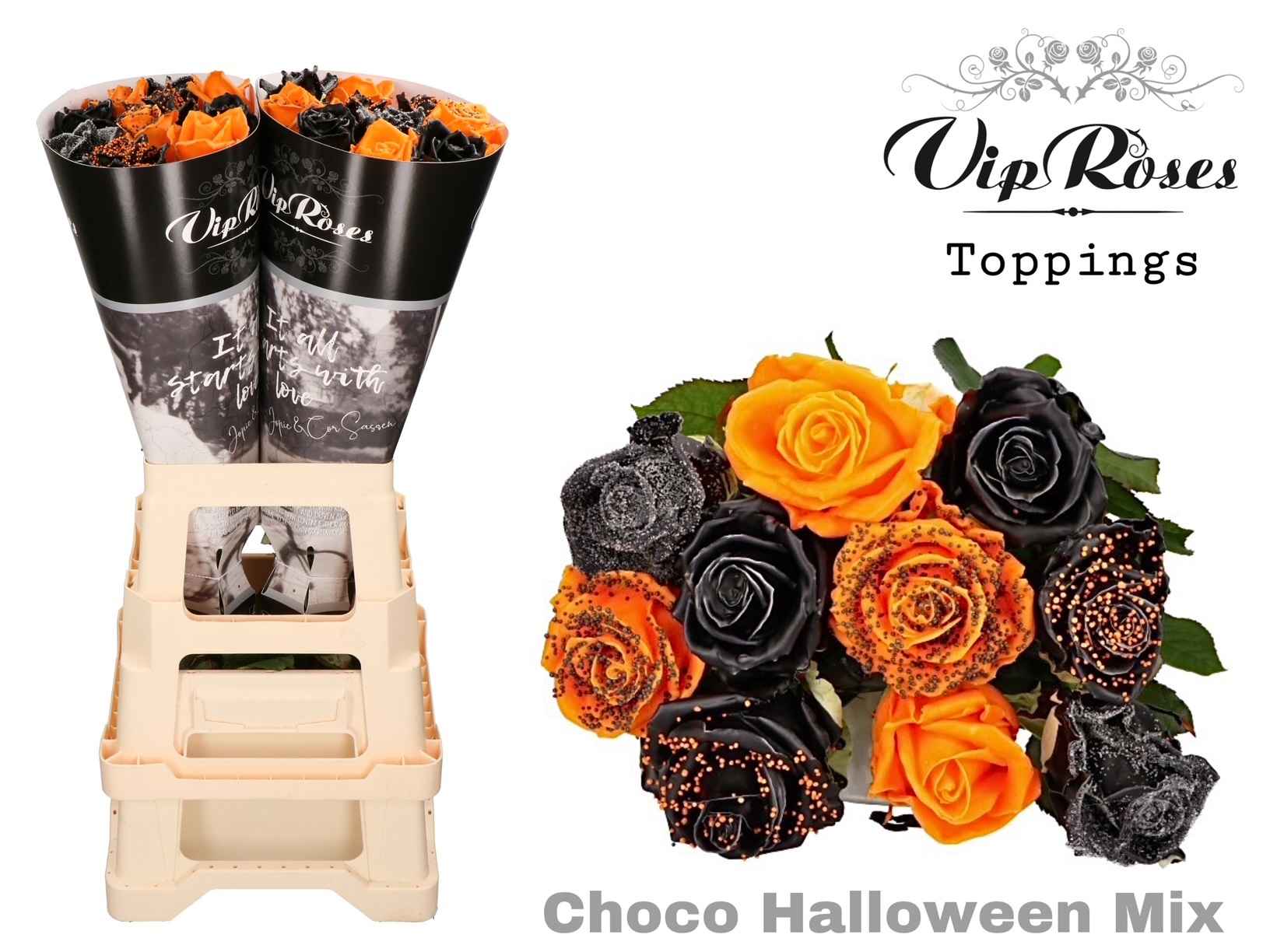 Срезанные цветы оптом Rosa la paint choco haloween mix (R351) от 20шт из Голландии с доставкой по России