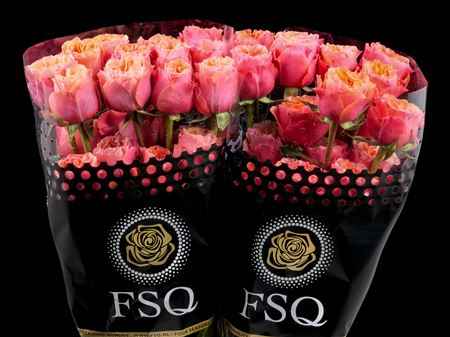 Срезанные цветы оптом Rosa la garden south park от 40шт из Голландии с доставкой по России