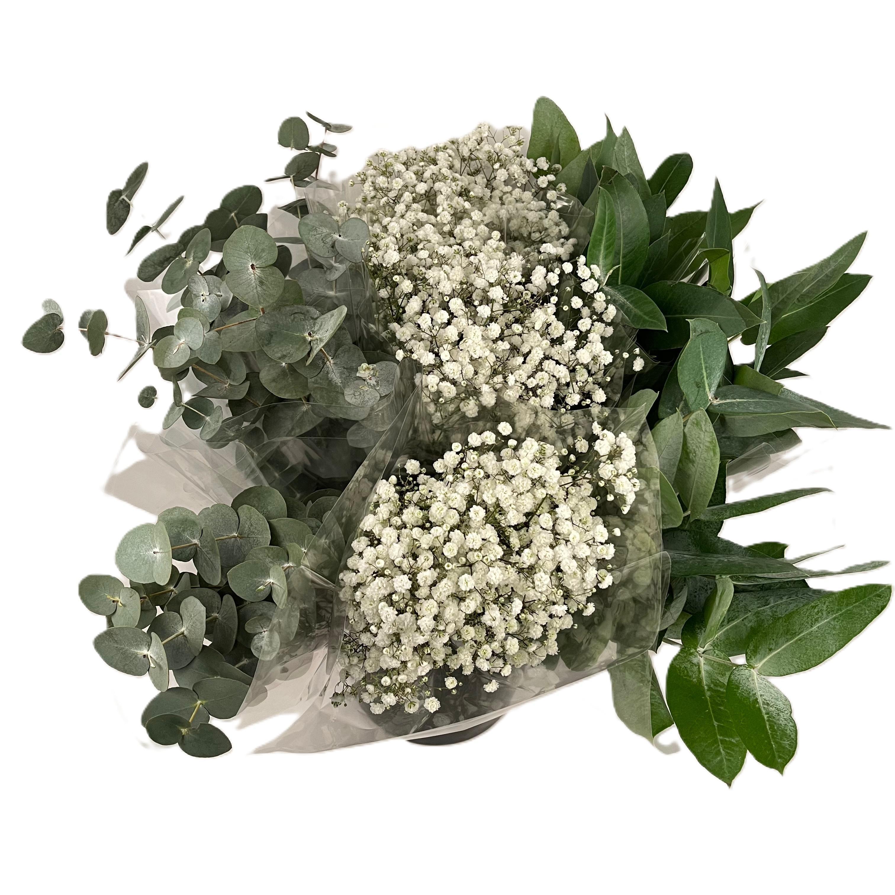 Срезанные цветы оптом Bq Mono Eucalyptus - Gyps mix от 15шт из Голландии с доставкой по России