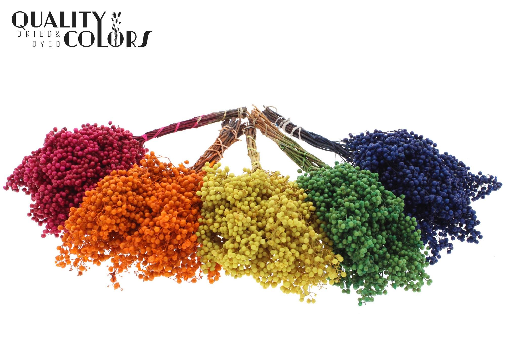 Срезанные цветы оптом Pepperberries per bunch in poly Mixed colours от 5шт из Голландии с доставкой по России