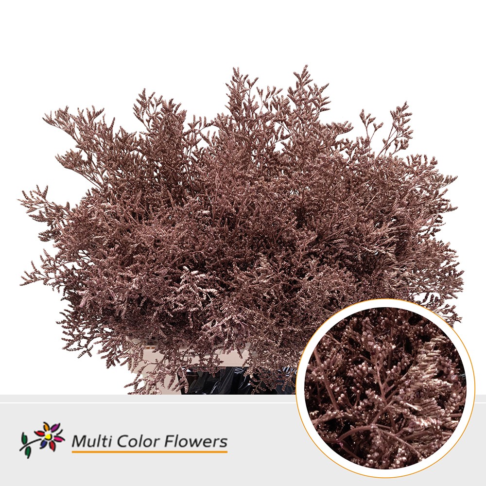 Срезанные цветы оптом Limonium paint pink gold от 50шт. из Голландии с доставкой по России